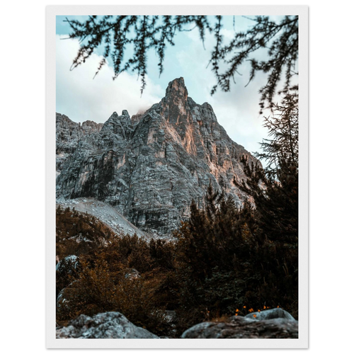 22fdc89f-a03b-4984-9181-642fb5bc9d1c