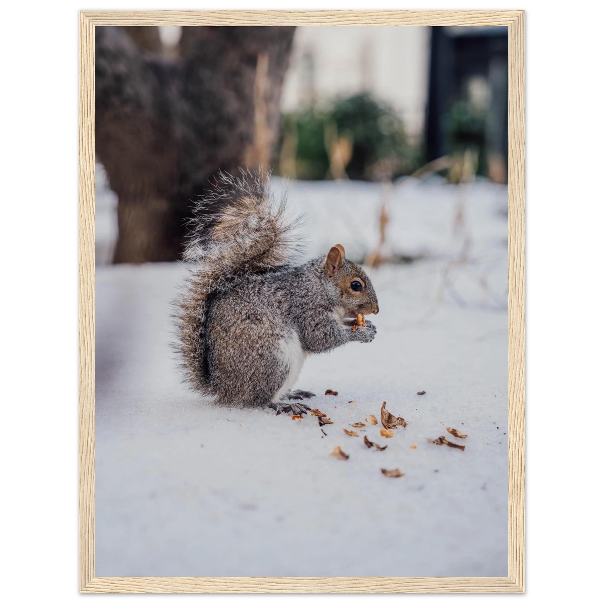 b6278fa7-e872-4cc6-b10e-c35775c38b74