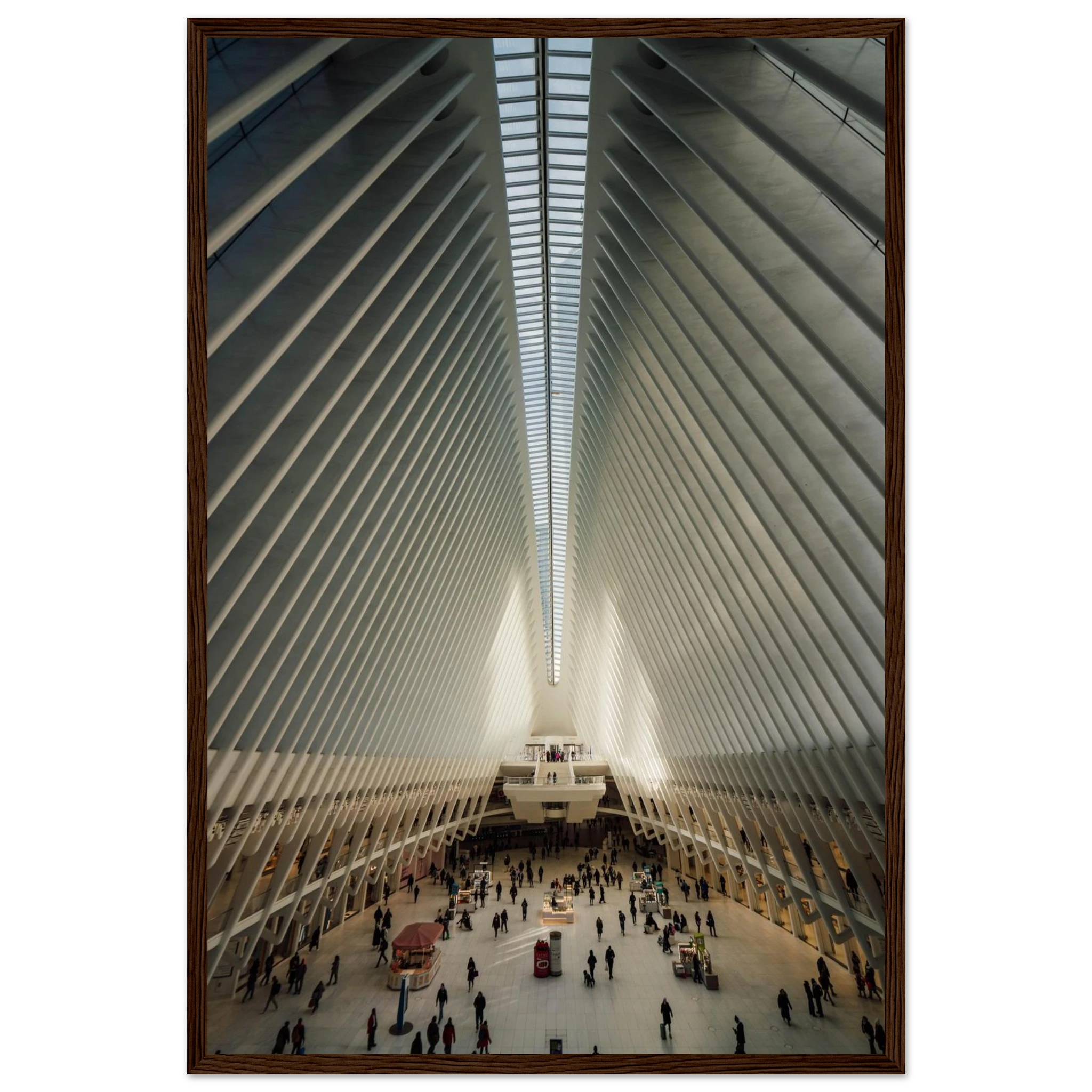 c3d5e810-7b70-4ccb-9e36-b1df36402fbe