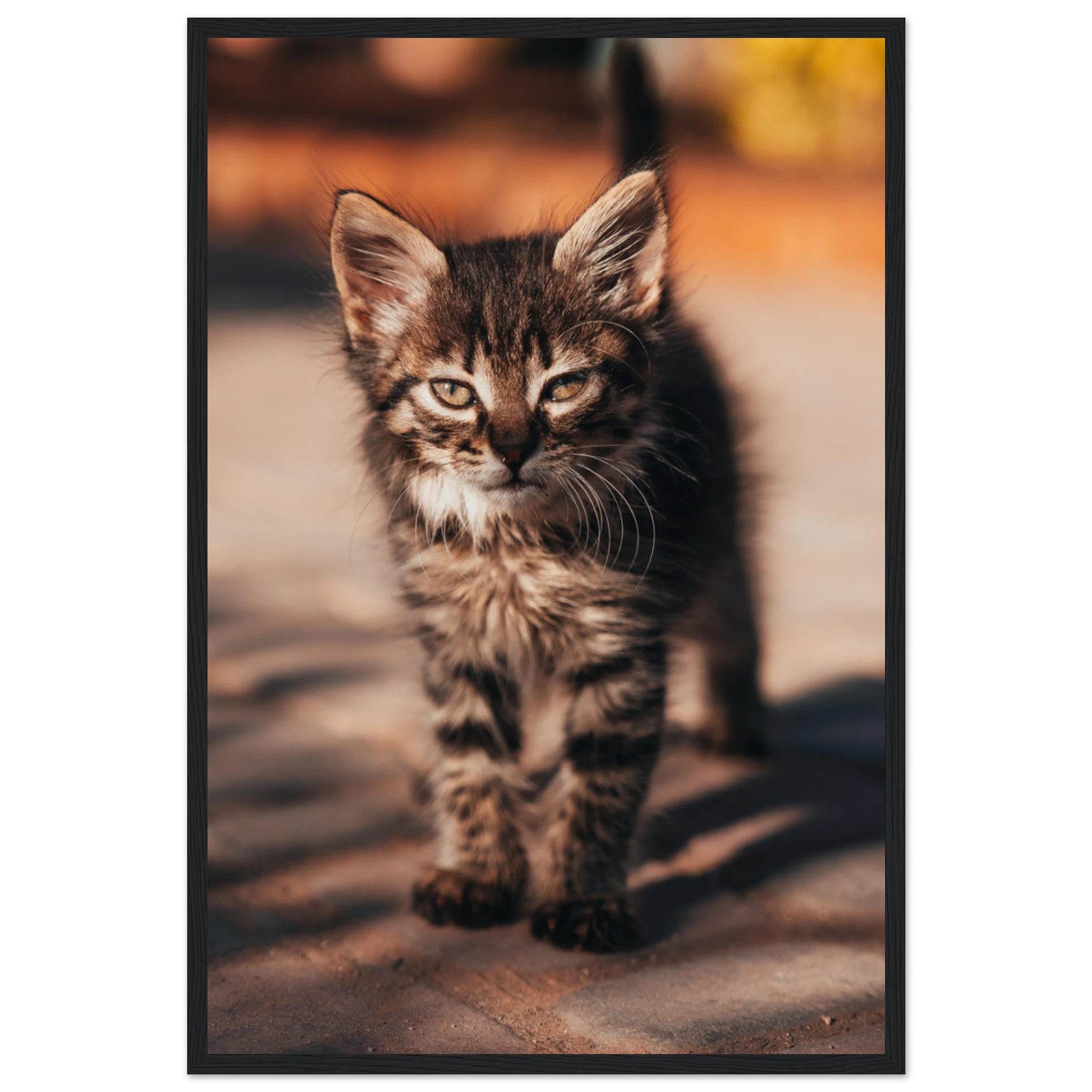 f003db43-ecf2-487c-9100-9d03d5e698e5