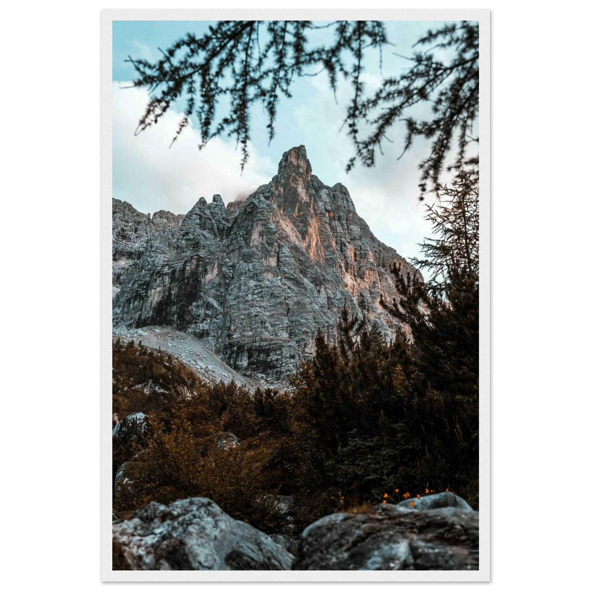 fe0ab7fb-95f8-4614-b061-692c173a313d